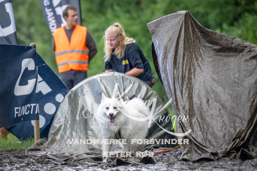 1157_ZZ90493-Bearbeitet | kk-dogfotos