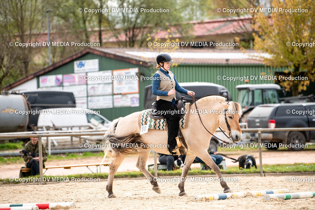 Heiligenwald Tag 1-346 | dv-media-shop - Realisiert mit Pictrs.com