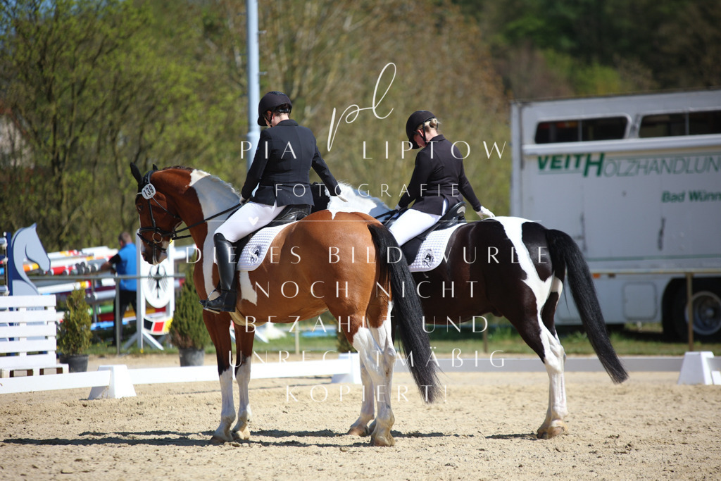 IMGT2222 | pl-fotografie