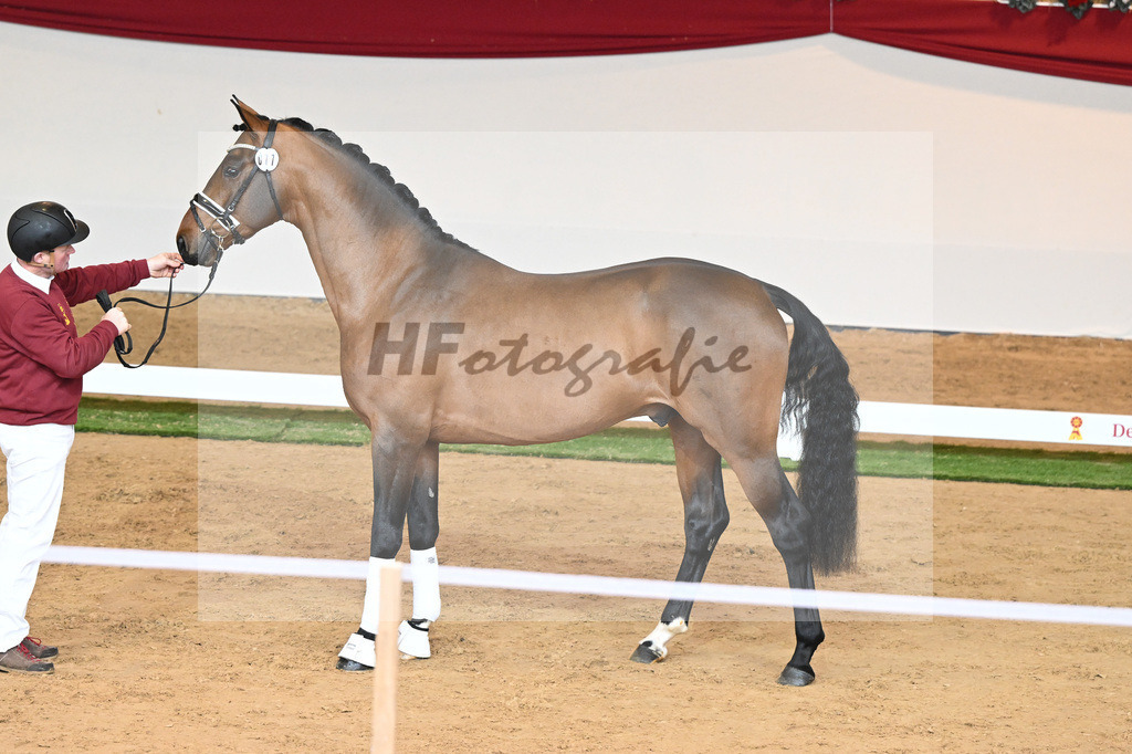 Kat-Nr. 77 Vitalis_Bock_1230542 | hf-fotografie - Realisiert mit Pictrs.com