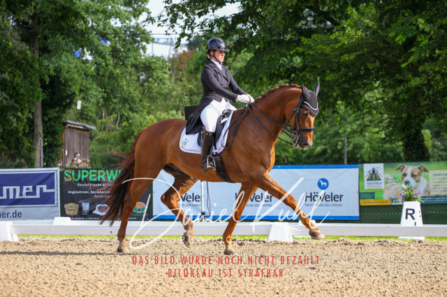 DKP41587 | Turnierfotos kaufen im Webshop von Daniel Kuhl Photography – entdecke professionelle Reitsportfotos aus Turnieren & Events. Hochwertige Turnierbilder online bestellen & sichern. Jetzt Fotos von Reitsportturnieren kaufen!
