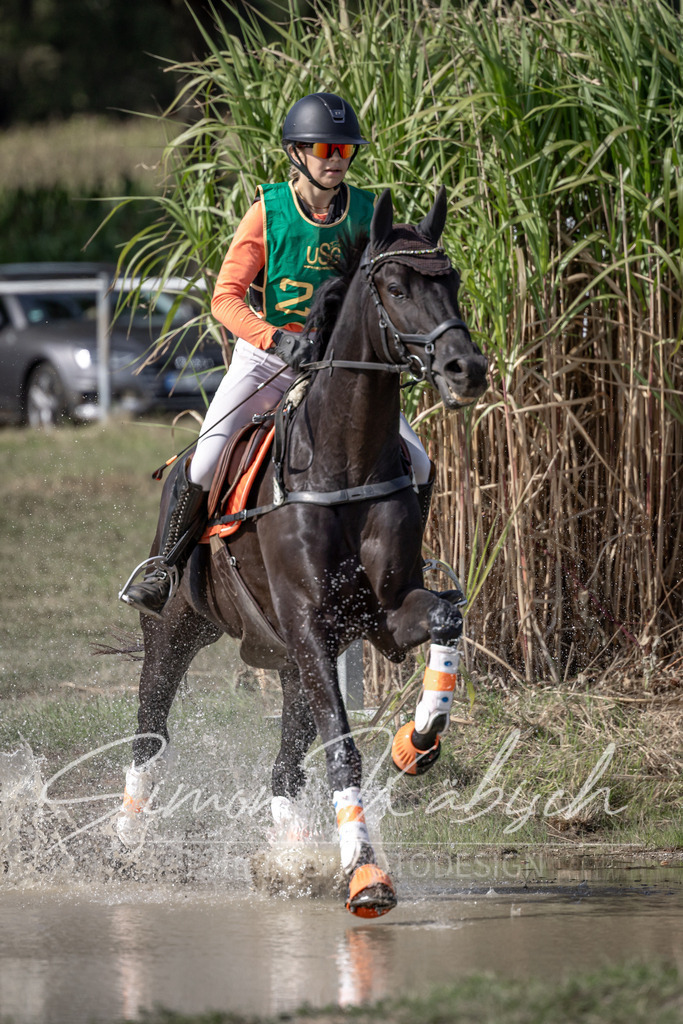20250907-_3LI2134 | Tierfotografie Pferde, Hunde, Katzen, Haustiere.
Turnierfotografie Reitturniere, Reiten, Springreiten, Dressur in Hanau, dem Main-Kinzig-Kreis und dem Rhein-Main- Gebiet um Frankfurt