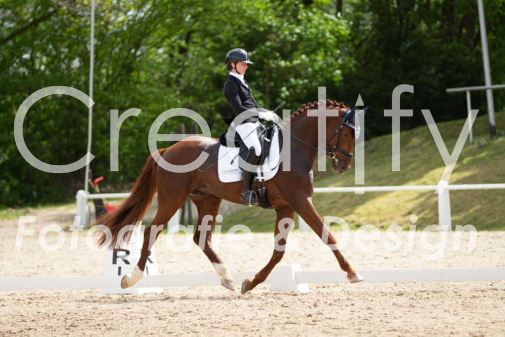 IMG_2506 | Creatify Fotografie