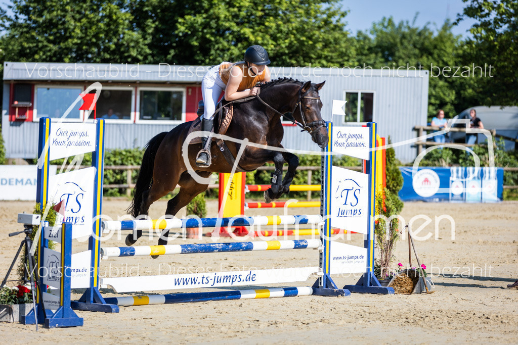 Donop24-ASpr-058 | MomenTaufnahmen Pferdesportfotos