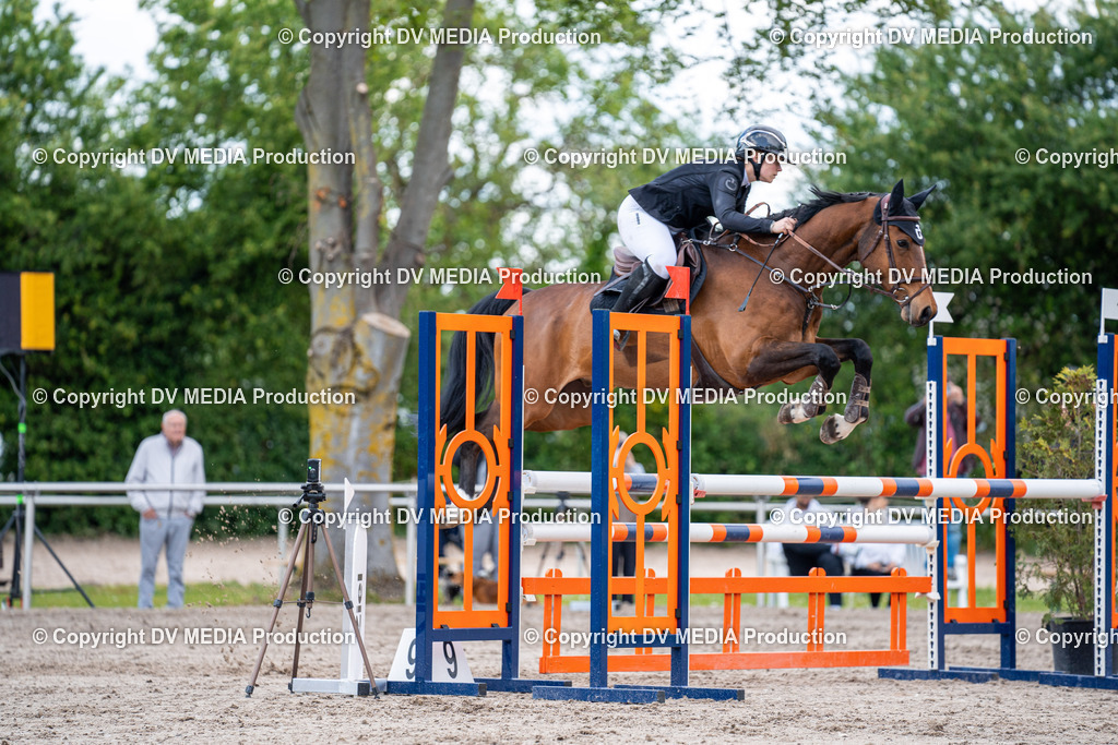 Eppelheim Tag 1-499 | dv-media-shop - Realisiert mit Pictrs.com