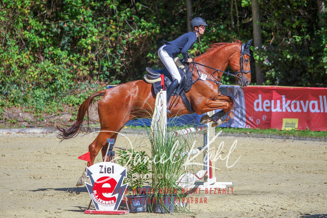 DKP43122 | Deine Turnierfotos vom Reitturnier online kaufen: Dressur, Springen & Siegerehrung. Professionelle Pferdefotografie aus dem Rheinland – als Download & Print.Alternative: Turnierfotograf für den Pferdesport: Finde deine Fotos von Dressur- und Springturnier