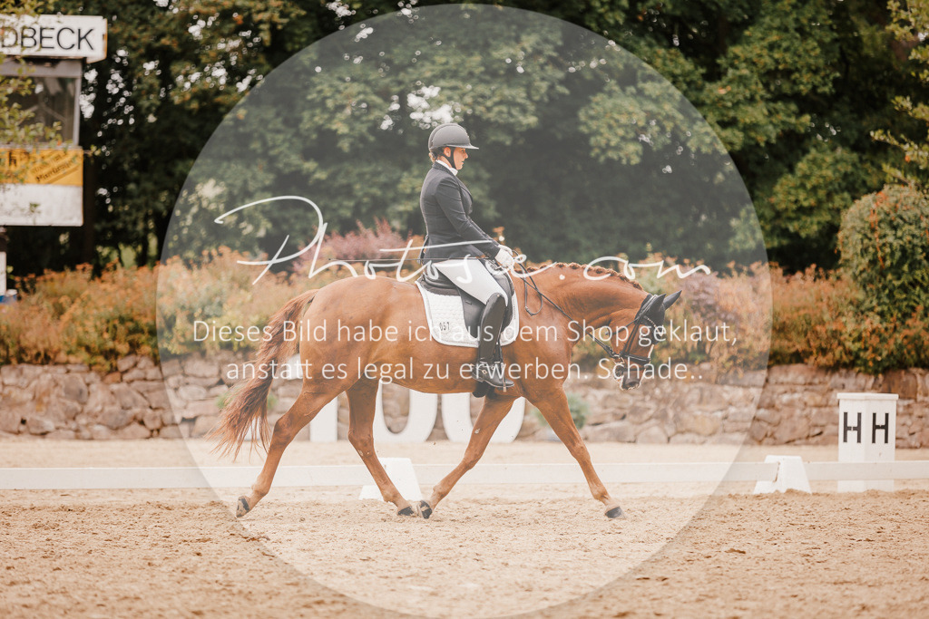 3I6A5928 | Stimmungsvolle Portraits und Reitsportfotografie im Ruhrgebiet und im Münsterland.

Pferdefotografie, Hundefotografie, Tierfotografie, Reportagen, Portraits von Tier und Mensch, Turnierfotografie in Bochum, Recklinghausen, Marl, Haltern am See, Dülmen.. - Realisiert mit Pictrs.com