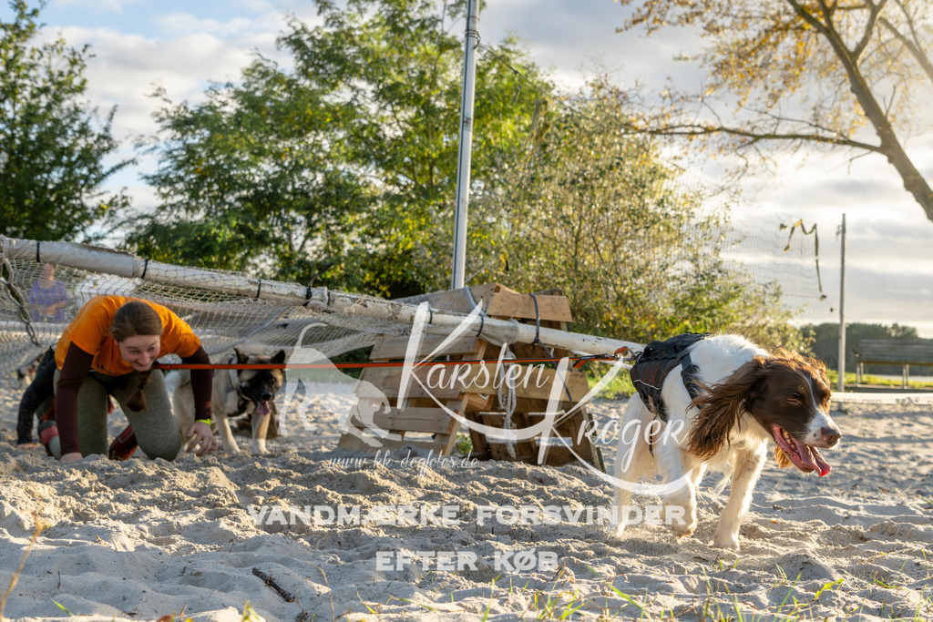 1641_ZZ98538 | kk-dogfotos