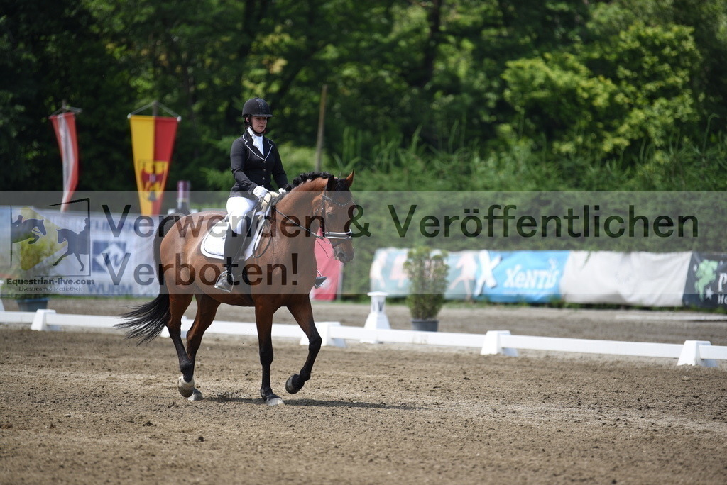 DSC_9900 | equestrian-live-com