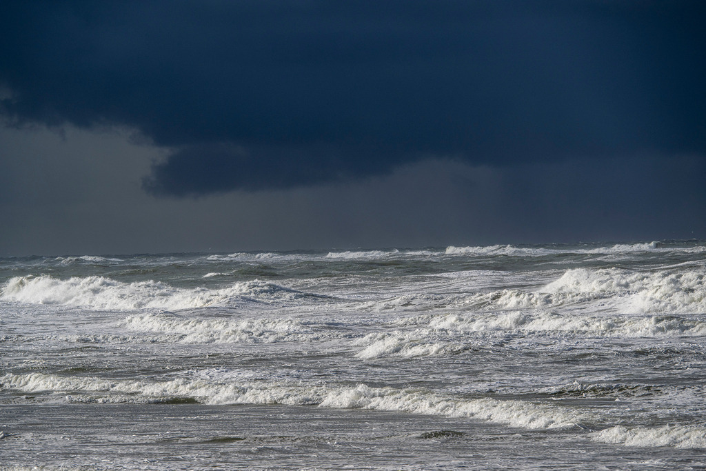 251027_Texel_3212_mr | Entdecke exklusive Fotografie im muebri Shop: Stimmungsvolle Motive  Naturaufnahmen und mehr. Jetzt hochwertige Wandbilder und Fotoabzüge online kaufen! - Realisiert mit Pictrs.com