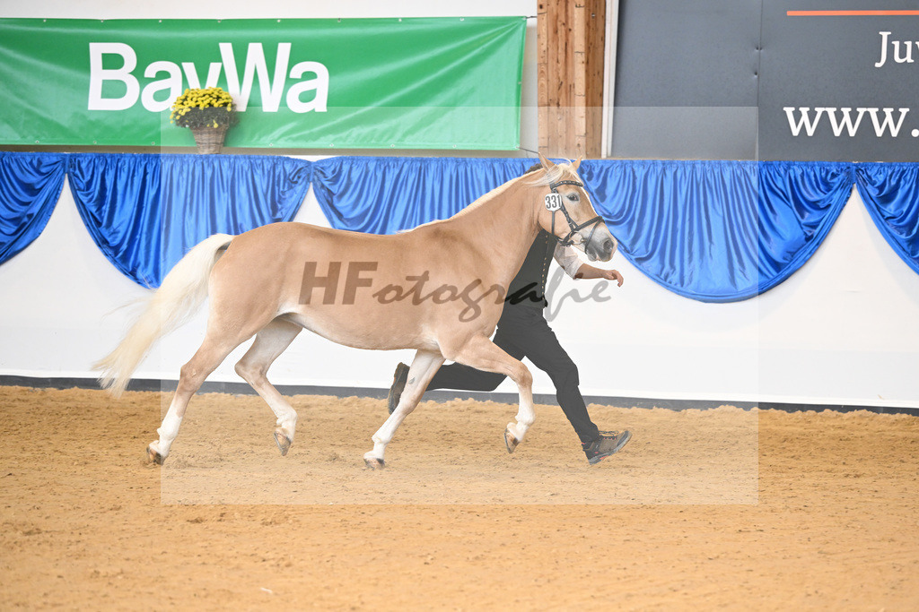 Kat-Nr. 331 Odienne K_Kappelsberger_54223264 | hf-fotografie - Realisiert mit Pictrs.com