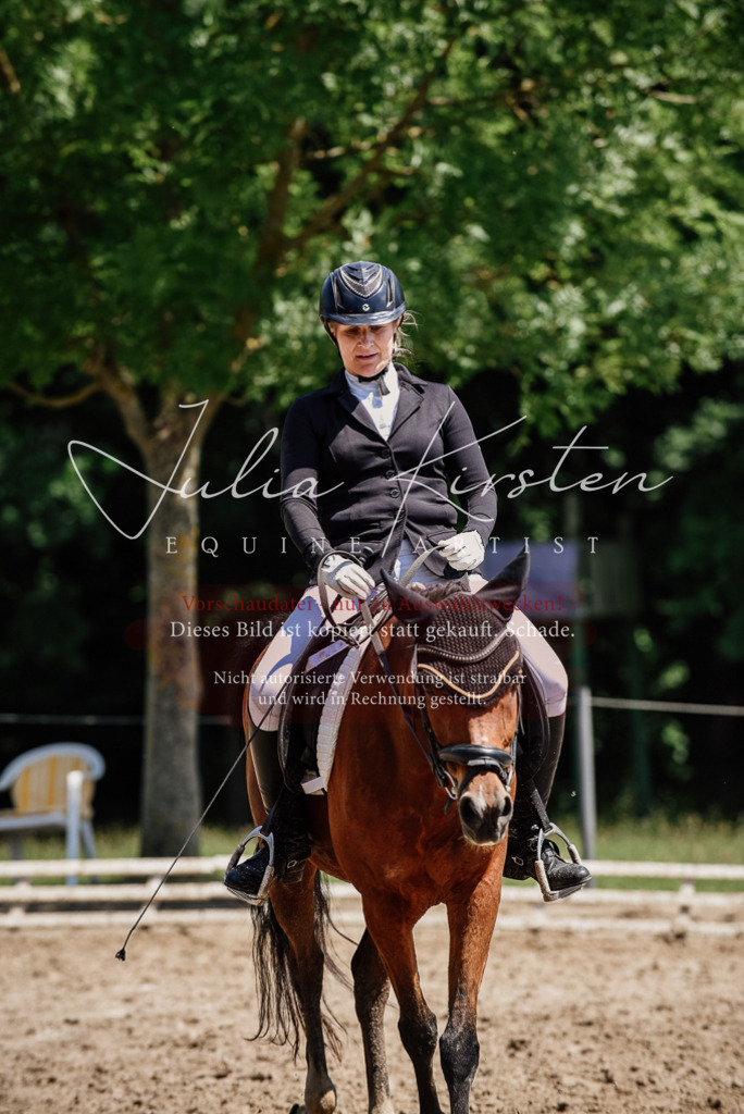 DSC_1910 | Pferde- und Turnierfotografie in Westsachsen. Pferdeportraits, Auftragszeichnungen und intuitive Kunst.