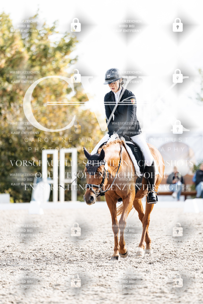 CK901174 | Turnierfotografie Pferdefotografie Trier Rheinland-Pfalz Pferdesport Reitsport Tierfotografie Sportfotografie Pferdevideo Pferdevideografie Equestrianvideography equestrianphotography  - Realisiert mit Pictrs.com