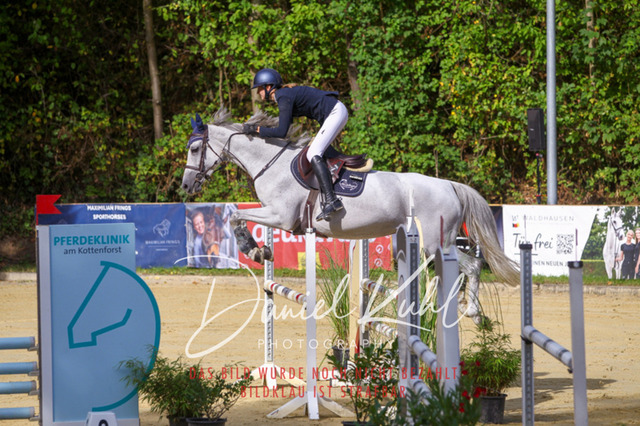 DKP42355 | Turniersportfotografie; Pferdefotografie; Dressurfotografie