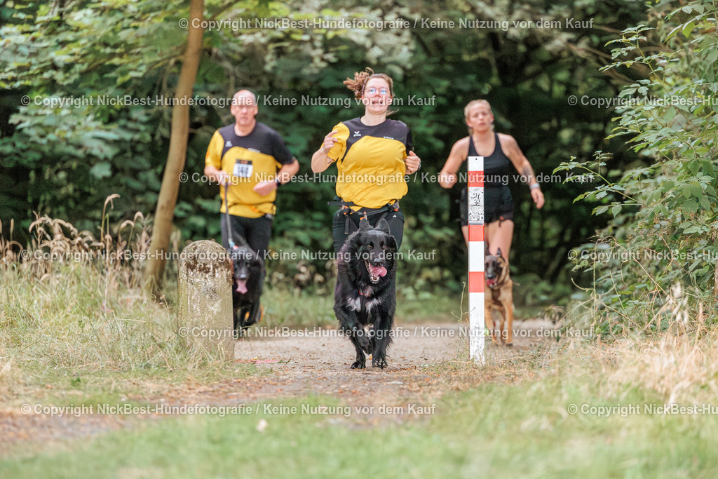 THS-Quakenbrück-2026-Nickbest-Hundefotografie-0763 | Dein Hund! Dein Moment! Deine Erinnerungen! Hundefotografie in Bremen Blumenthal. Ich fange die besonderen Momente deines Vierbeiners ein – ob Indoor mit Blitzanlage oder in der freien Natur. Sicher dir dein Moment und dein Termin für eure Erinnerungen.