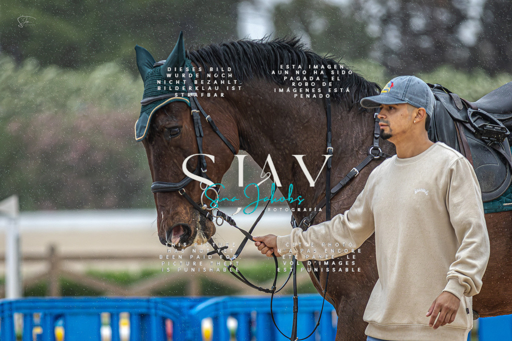 IMG_1621-Verbessert-RR | s-jay-photography - Realisiert mit Pictrs.com