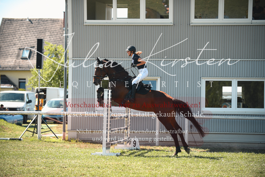 DSC_7235 | Pferde- und Turnierfotografie in Westsachsen. Pferdeportraits, Auftragszeichnungen und intuitive Kunst.