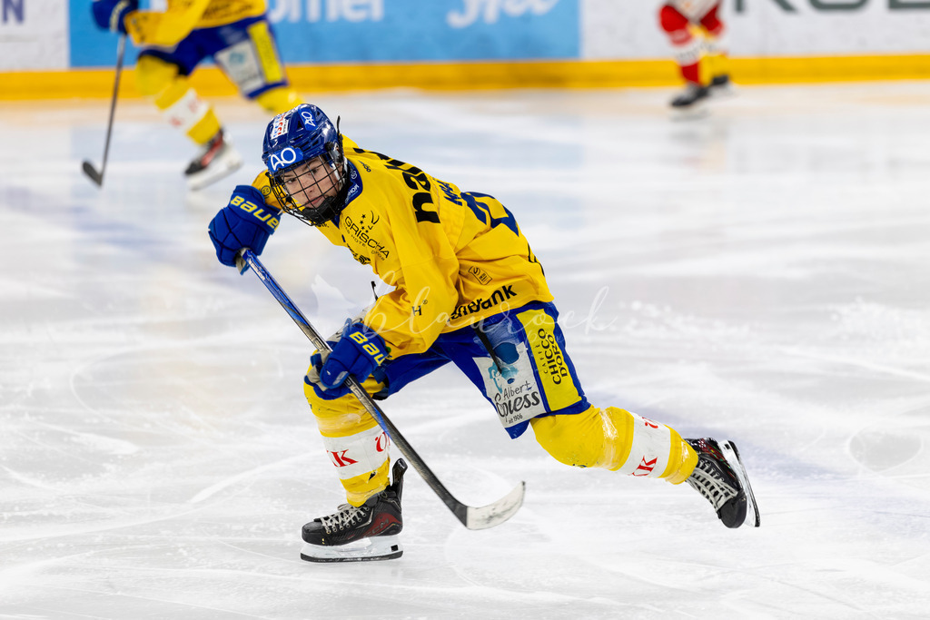 EHCB vs HCD 20262703-418251264 | Sportbilder, Sportfotograf, Hochzeits- und Eventfotografin, Flugshows, Portraits und Tiershooting, Aviation, Downhill, Nationalleague, Swissleague, International