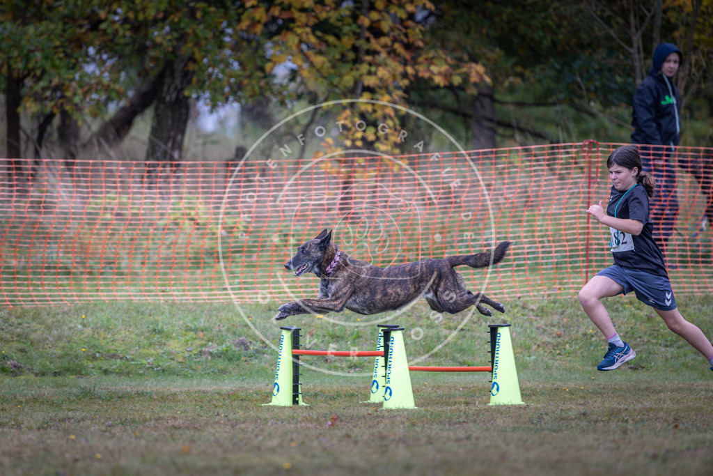 Pfotenfotografie_DV3A0348 | Hundefotografie, Tierfotograf, Pfotenfotografie, Fotoshooting Hund, Hunde Portrait, Hundesport, Hundeportraits, Heideshooting, Hunde, Sportfotograf, Hundefotograf, Turnierhundsport, THS,  - Realisiert mit Pictrs.com