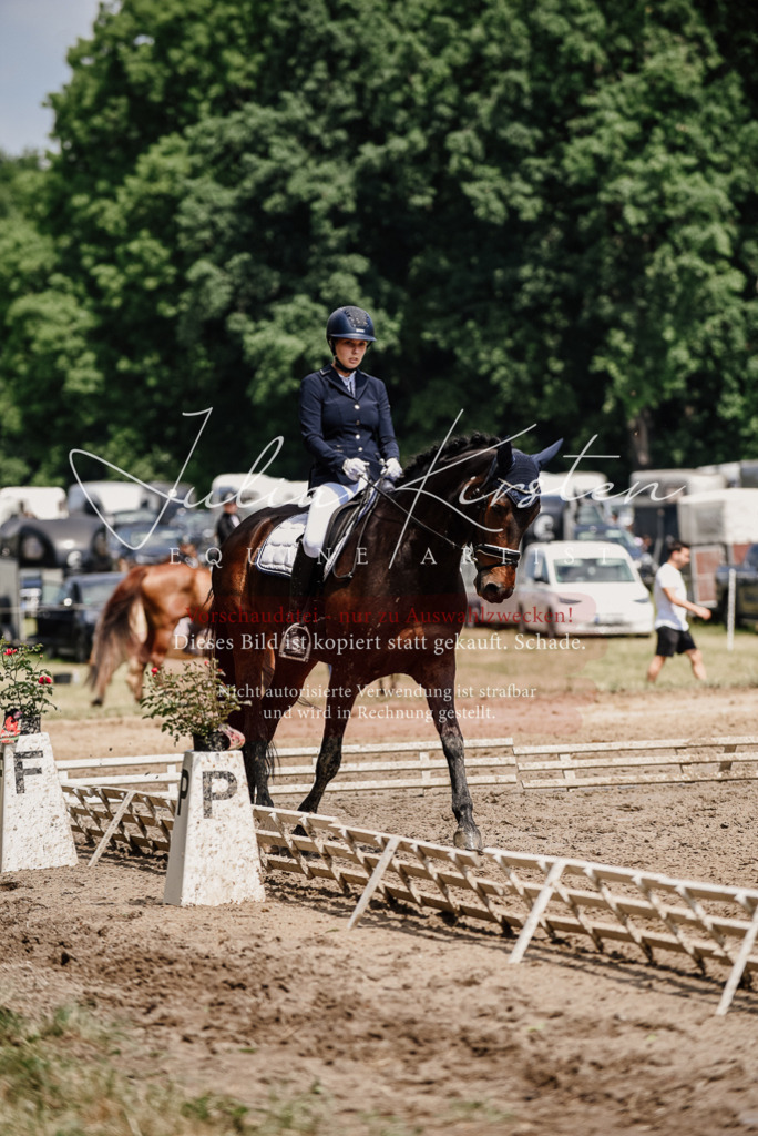 DSC_1479 | Pferde- und Turnierfotografie in Westsachsen. Pferdeportraits, Auftragszeichnungen und intuitive Kunst.