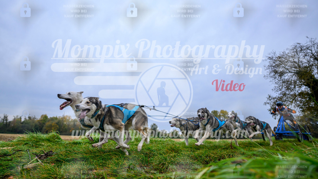 MompixPhotography_CDLBDB2025_DI_Kart-1 | PayLife