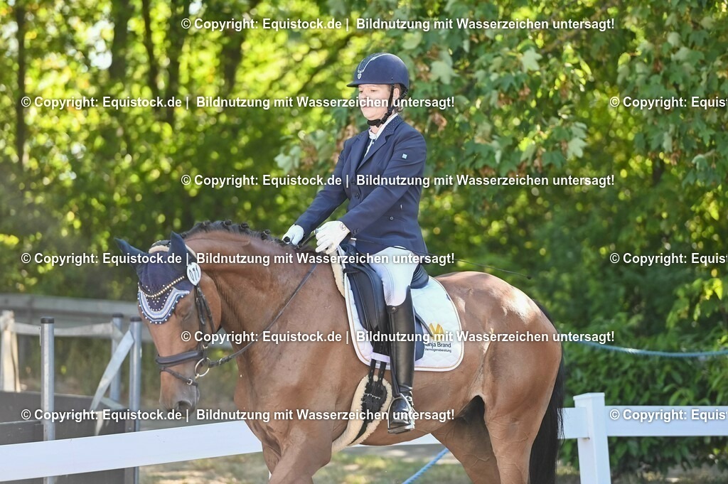 20230715_06_Dressurpferdeprfg. Kl.A_0204 | equistock