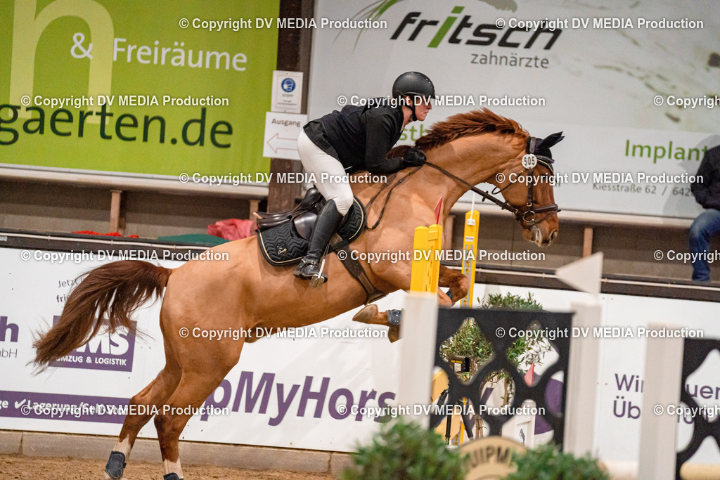 Kranichstein Tag 2-1278 | dv-media-shop - Realisiert mit Pictrs.com