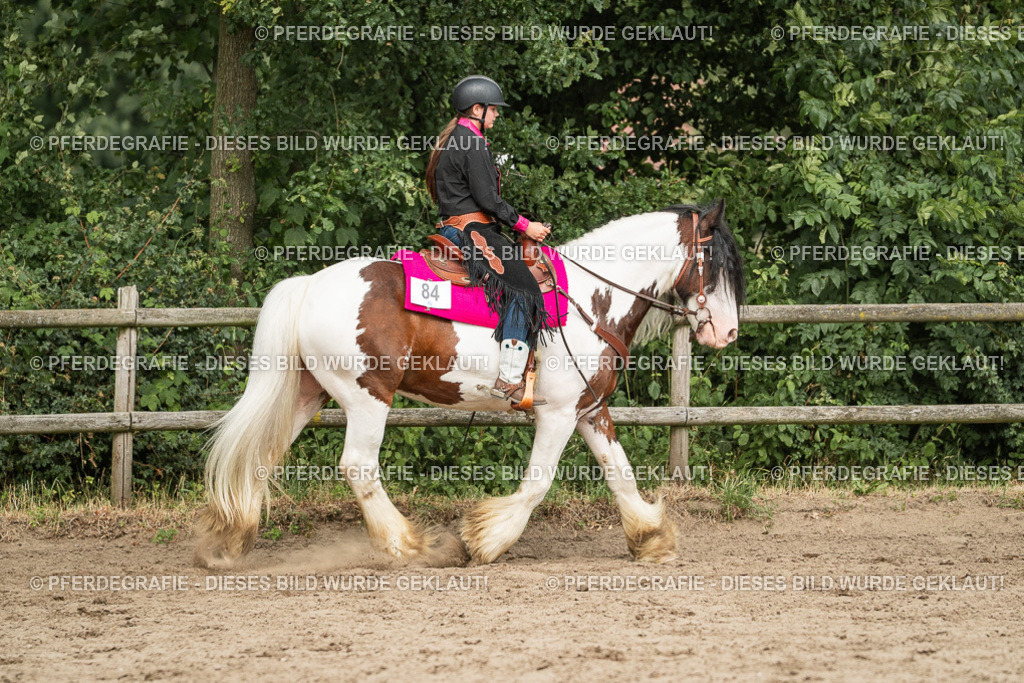 DSC03910 | Pferdegrafie