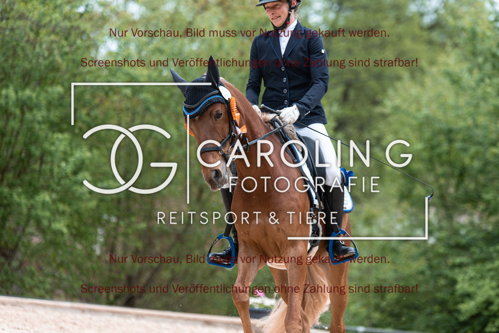 DSC_7121 | Turnierfotografin Carolin Gieschke,Reitsport Turnierfotografie Carolin G Fotografie | Turnierfotos aus Kirchheim/Teck, Esslingen, Stuttgart und dem Bodenseekreis