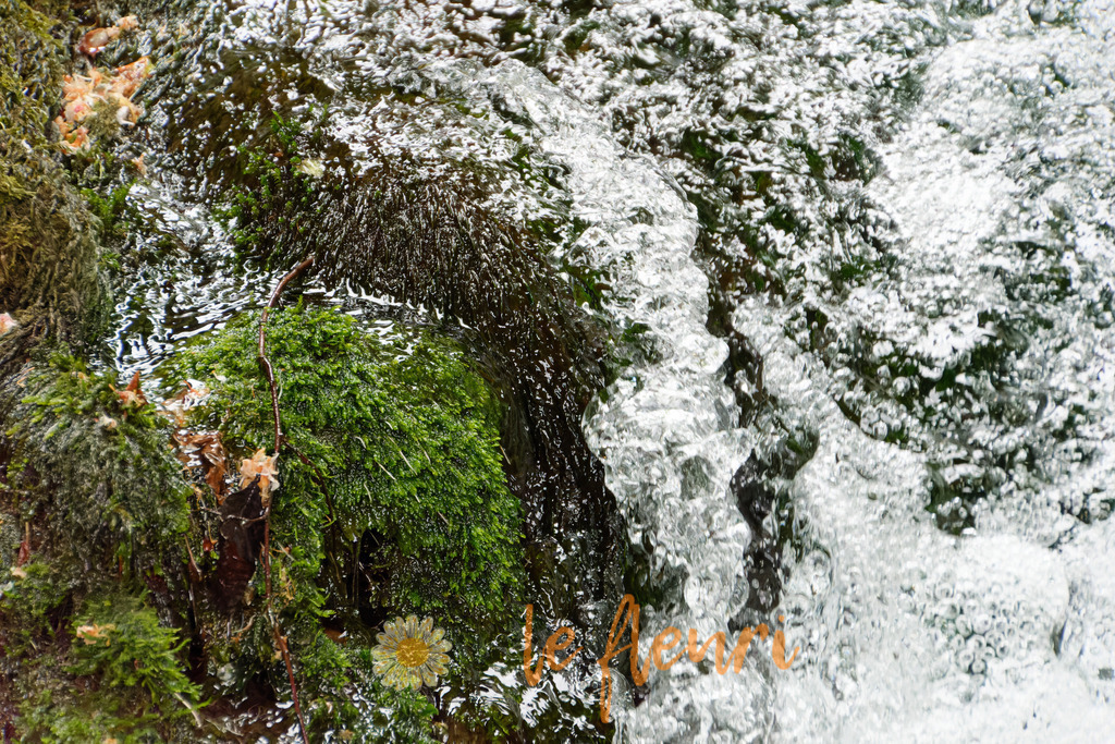 Römerquelle | Dies ist der Shop von Florian Blum - le fleuri. Langenthal, Bern, Schweiz. Sie können hier meine oder ihre eigenen Fotos als Fotoprodukte kaufen. Tassen, Schlüsselanhänger, Taschen etc. können Sie hier gestalten.  - Realisiert mit Pictrs.com