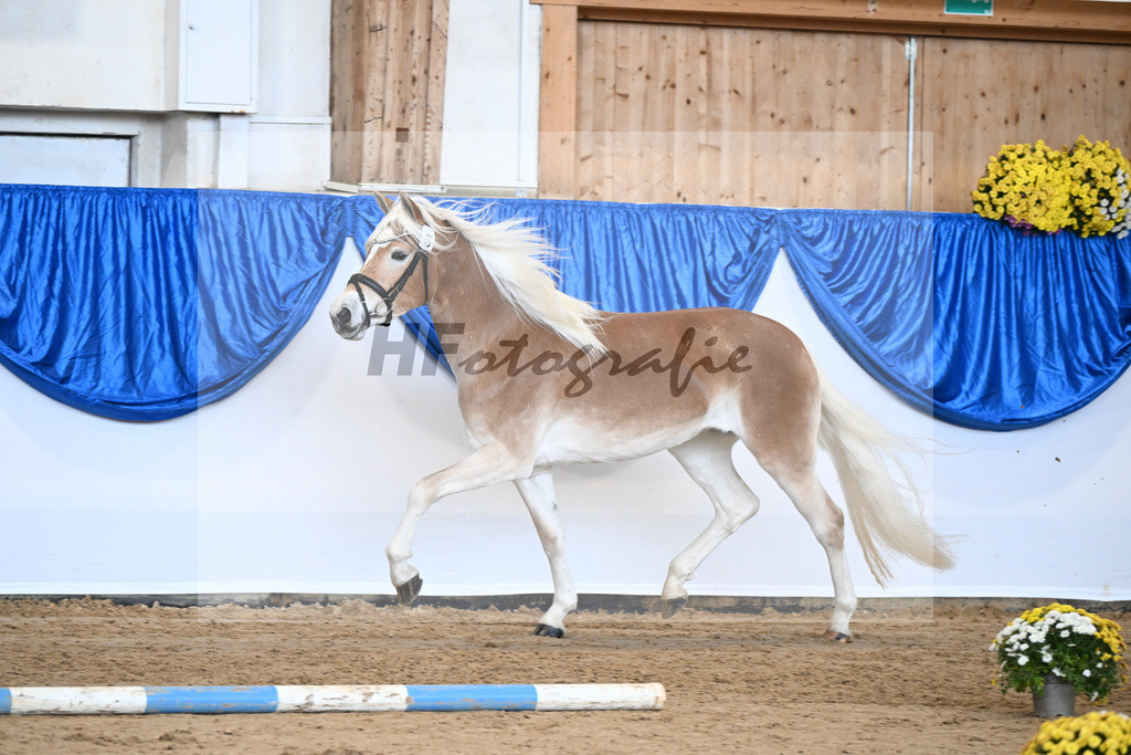 Bl. Band Kat-Nr. 5 Lady Cool v. Wetterstein_Gossner_48251318 | hf-fotografie - Realisiert mit Pictrs.com