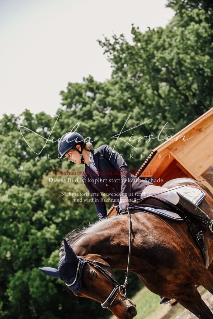 DSC_1478 | Pferde- und Turnierfotografie in Westsachsen. Pferdeportraits, Auftragszeichnungen und intuitive Kunst.