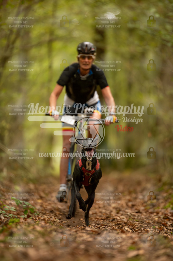 TSB_2023_E1_Bike-90 | PayLife