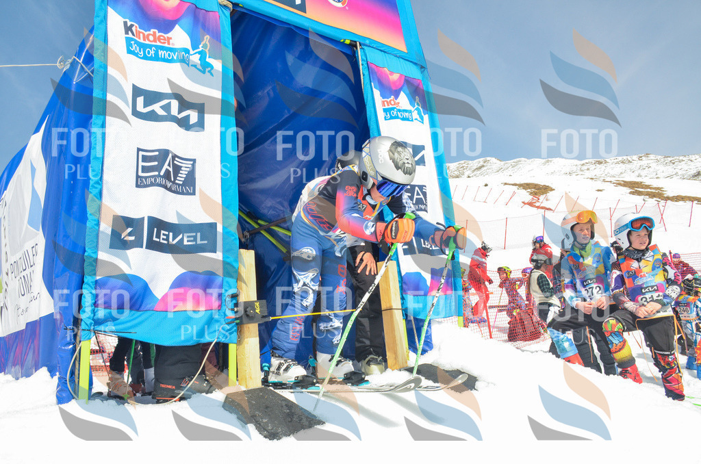 _ELE7032 | holidayphoto