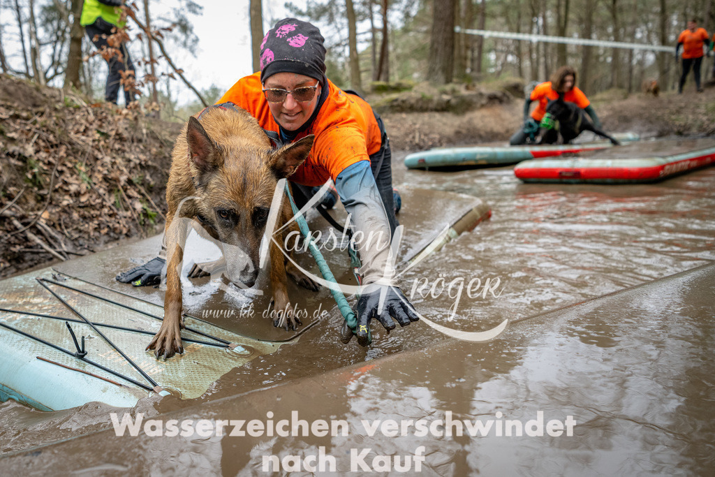 1238DSC_7428-2 | kk-dogfotos