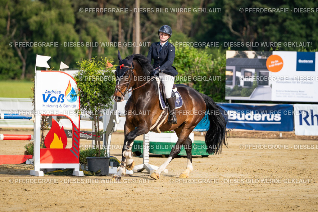 DSC02862 | Pferdegrafie