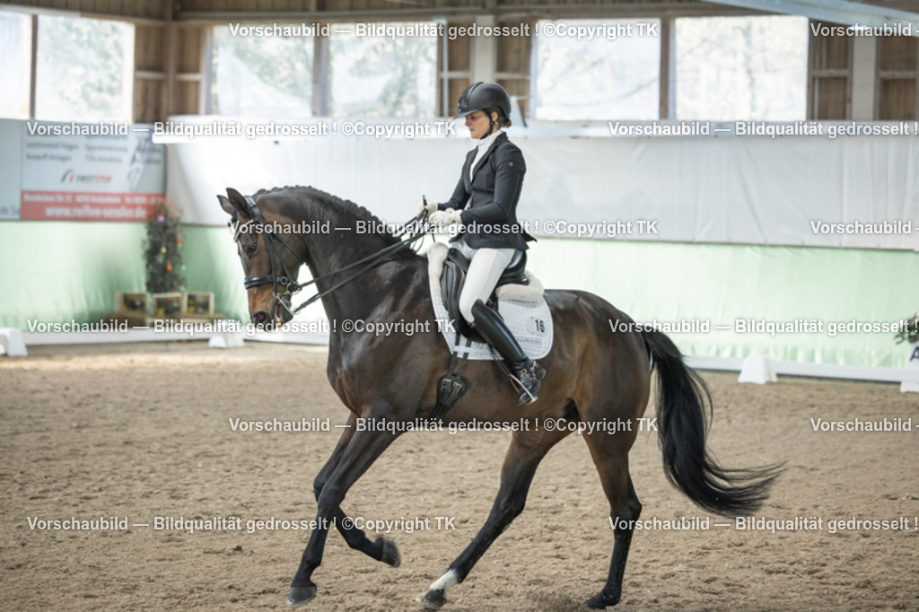 _D5A4716 | Emotionale Pferde- & People-Fotografie rund um Heidelberg, Leimen & Umgebung. Natürliche Fotos von Pferd, Mensch & Familie. Jetzt Termin sichern!