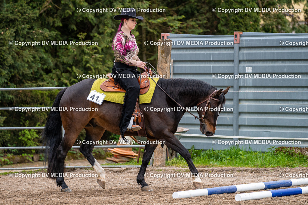 Balingen Tag 2-11 | dv-media-shop - Realisiert mit Pictrs.com