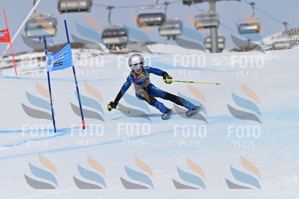 BGV_4432 | holidayphoto