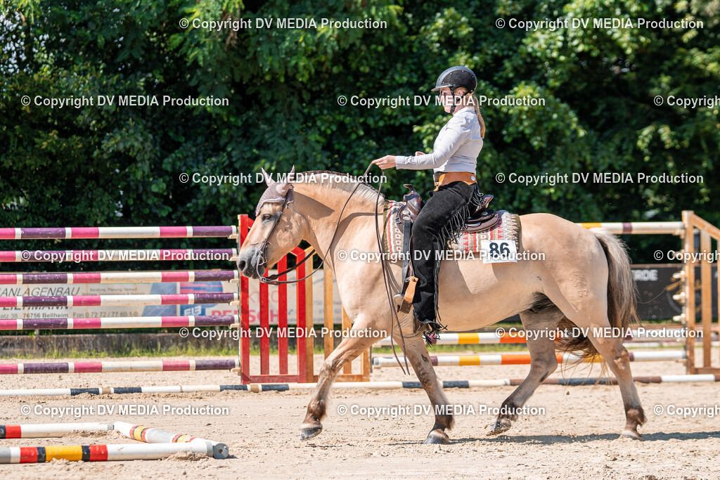 Zeiskam Tag 2-866 | dv-media-shop - Realisiert mit Pictrs.com