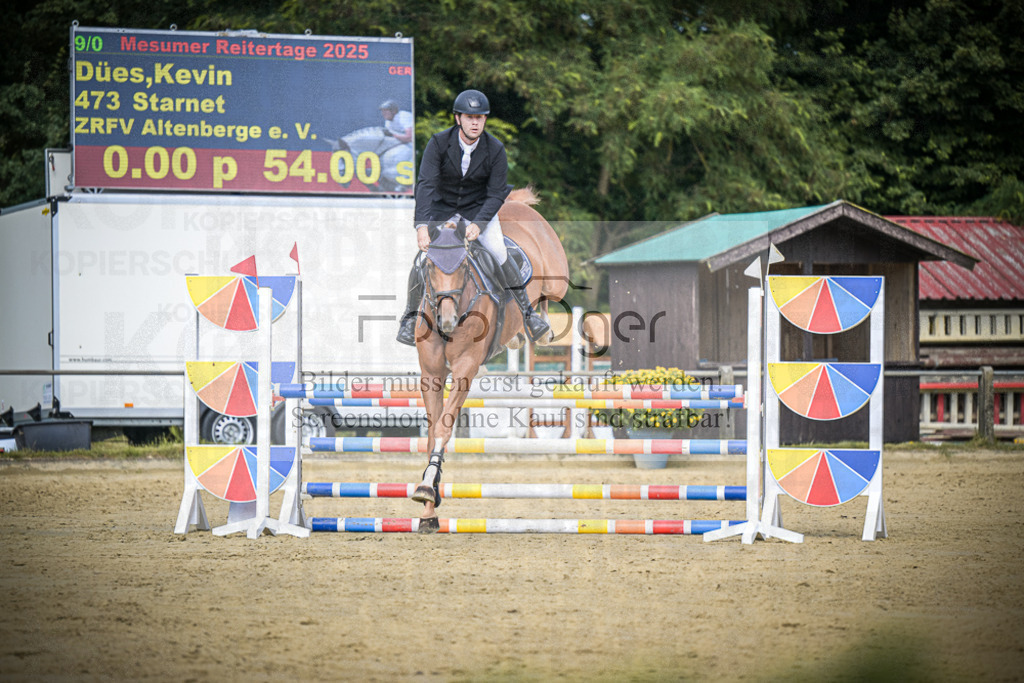 DOS_5002 | Entdecke hochwertige Reitturnierfotos von Foto Oger. Professionell, emotional und authentisch – jetzt Lieblingsmomente im Shop bestellen.Deutschlandweite Turnierfotografie. - Realisiert mit Pictrs.com
