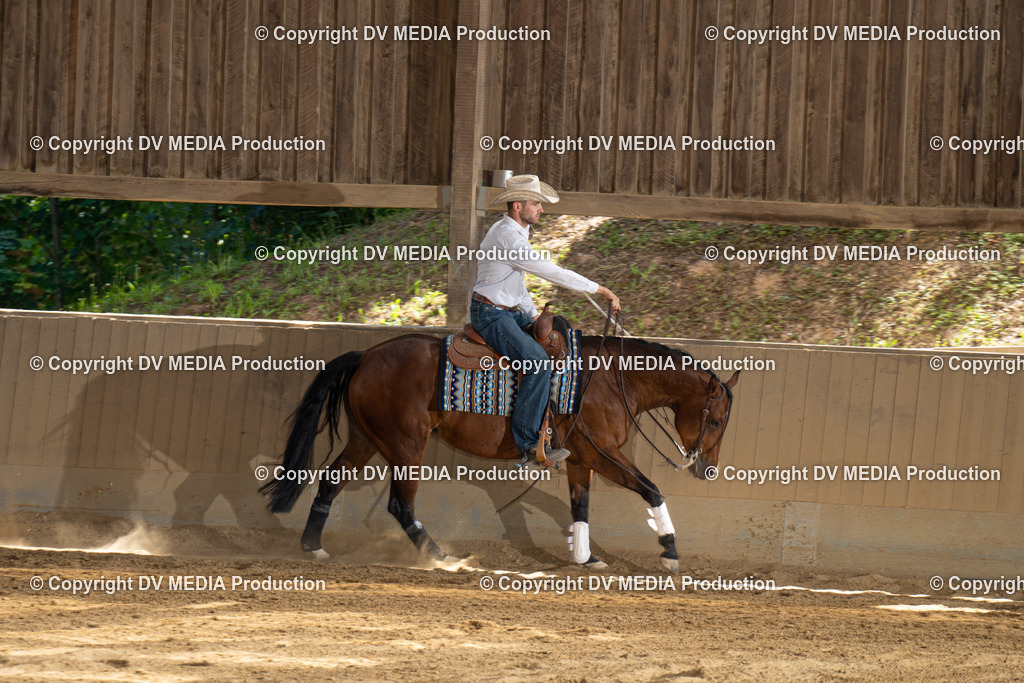 DSC00271 | dv-media-shop - Realisiert mit Pictrs.com