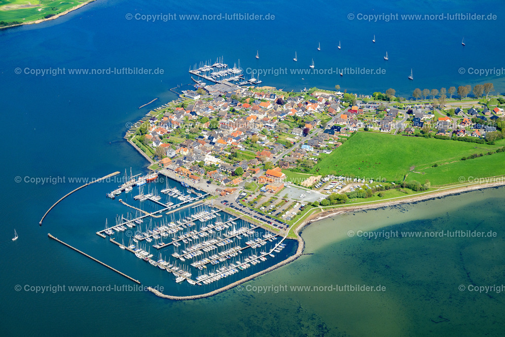 Maasholm_ELS_3037150523 | MAASHOLM 01.05.2024 Ortsansicht mit den Segelhäfen am Ufer der Schlei nähe der Meeres-Küste der Ostsee in Maasholm im Bundesland Schleswig-Holstein. Weiterführende Informationen bei: Christoph Winter,  Ostseefjord Schlei GmbH. // Town view with the sailing ports on the seashore of the Baltic Sea in Maasholm in the state of Schleswig-Holstein. Further information at: Christoph Winter,  Ostseefjord Schlei GmbH. Foto: Martin Elsen