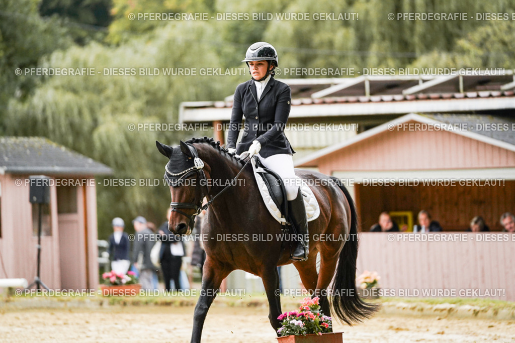 DSC07048 | Pferdegrafie