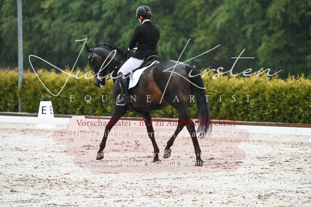 DSC_4693 | Pferde- und Turnierfotografie in Westsachsen. Pferdeportraits, Auftragszeichnungen und intuitive Kunst.