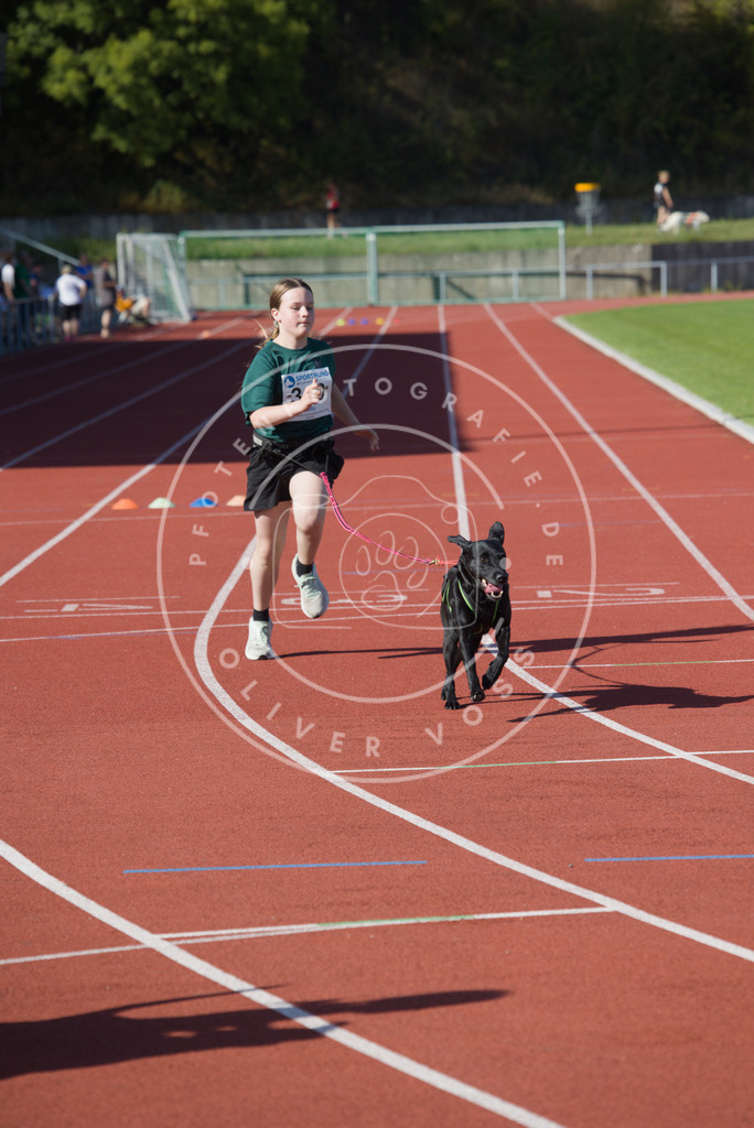 0L8A8891 | Hundefotografie, Tierfotograf, Pfotenfotografie, Fotoshooting Hund, Hunde Portrait, Hundesport, Hundeportraits, Heideshooting, Hunde, Sportfotograf, Hundefotograf, Turnierhundsport, THS,  - Realisiert mit Pictrs.com