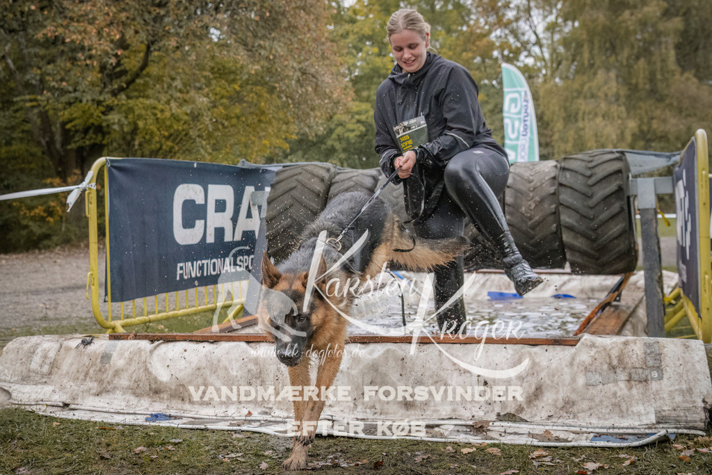 1631_ZZ93869 | kk-dogfotos