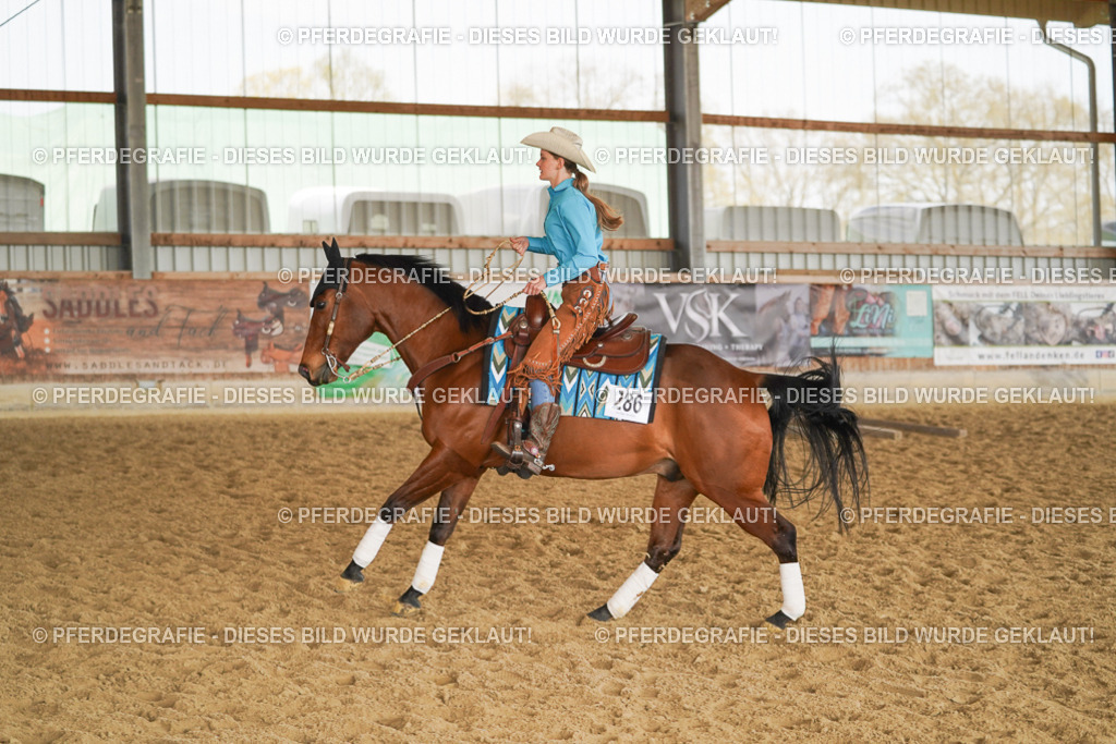 DSC00865 | Pferdegrafie