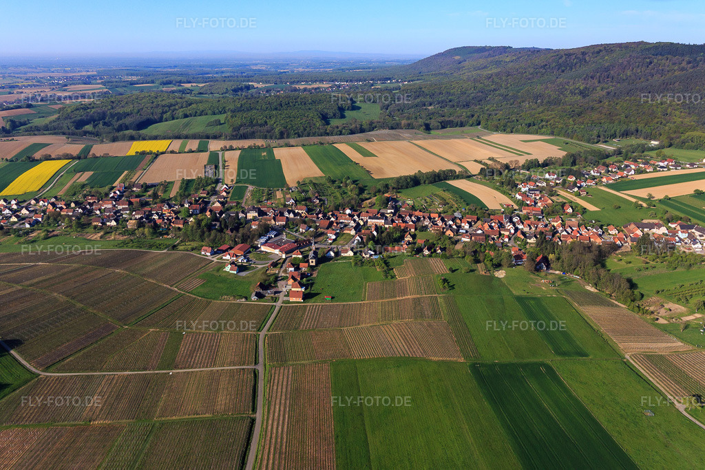 Luftbild: Ortsansicht aus Norden mit Église de Cleebourg in Cleebourg im Bundesland Bas-Rhin in Frankreich.Foto: IMG_099308.jpg vom 30.04.2017 durch Werner Riehm/FLY-FOTO.deAuflösung des Originals: 4963 x 3308 px