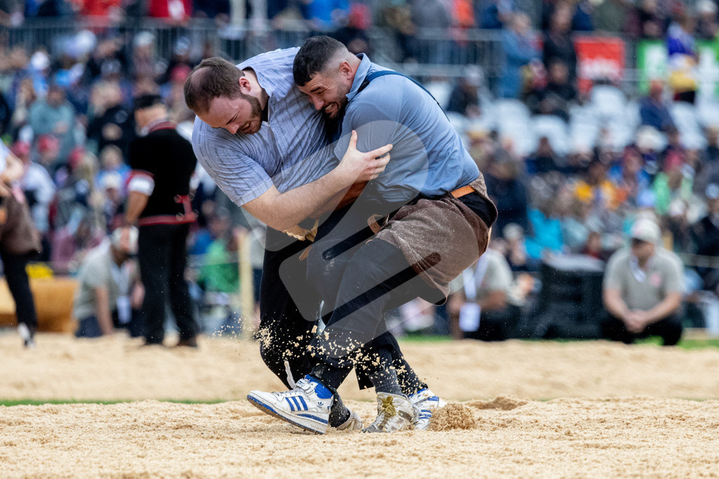 ESAF2025_01Gang_4877 | Die Schwinger des Schwyzer Kantonalen Schwingerverbandes: Fotos, die Dynamik und Leidenschaft festhalten, sowie emotionale Momente aus dem traditionellen Schwingsport zeigen. - Realisiert mit Pictrs.com